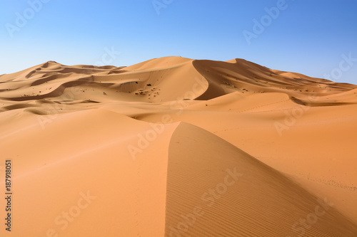 Fototapeta Naklejka Na Ścianę i Meble -  Sahara Desert, Erg Chebi dunes. Merzouga, Morocco