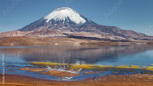 Parinacota volcano and Chungara lake, Lauca National Park, Chile photo
