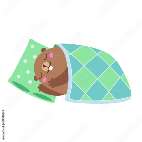 Illustration of groundhog sleeping under a blanket. Flat