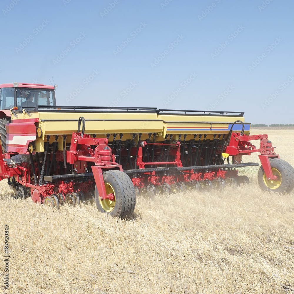 Obraz premium seeder