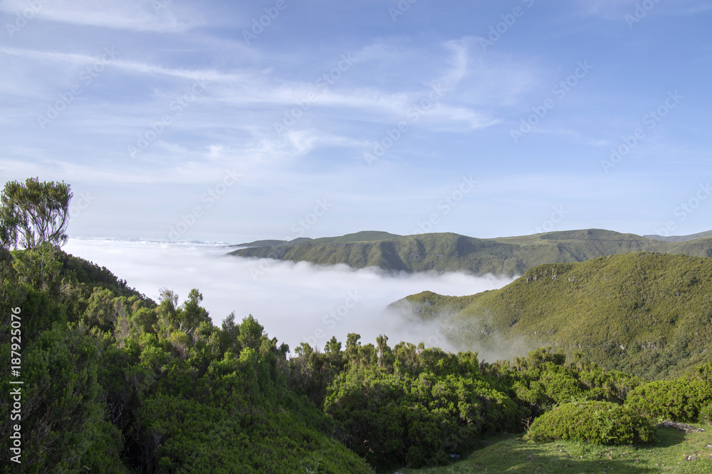 Cloudiness in the valley, Rabacal, Madeira island, Portugal