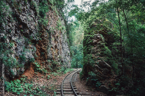 Old railway or railroad or train tracks among mountains in tropical forest in summer