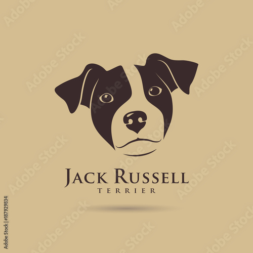 Jack Russell Terrier Head