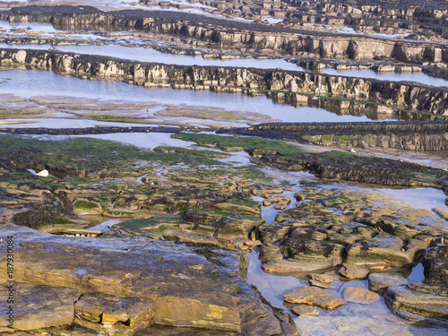 Rock Pools on Bamburgh Beach