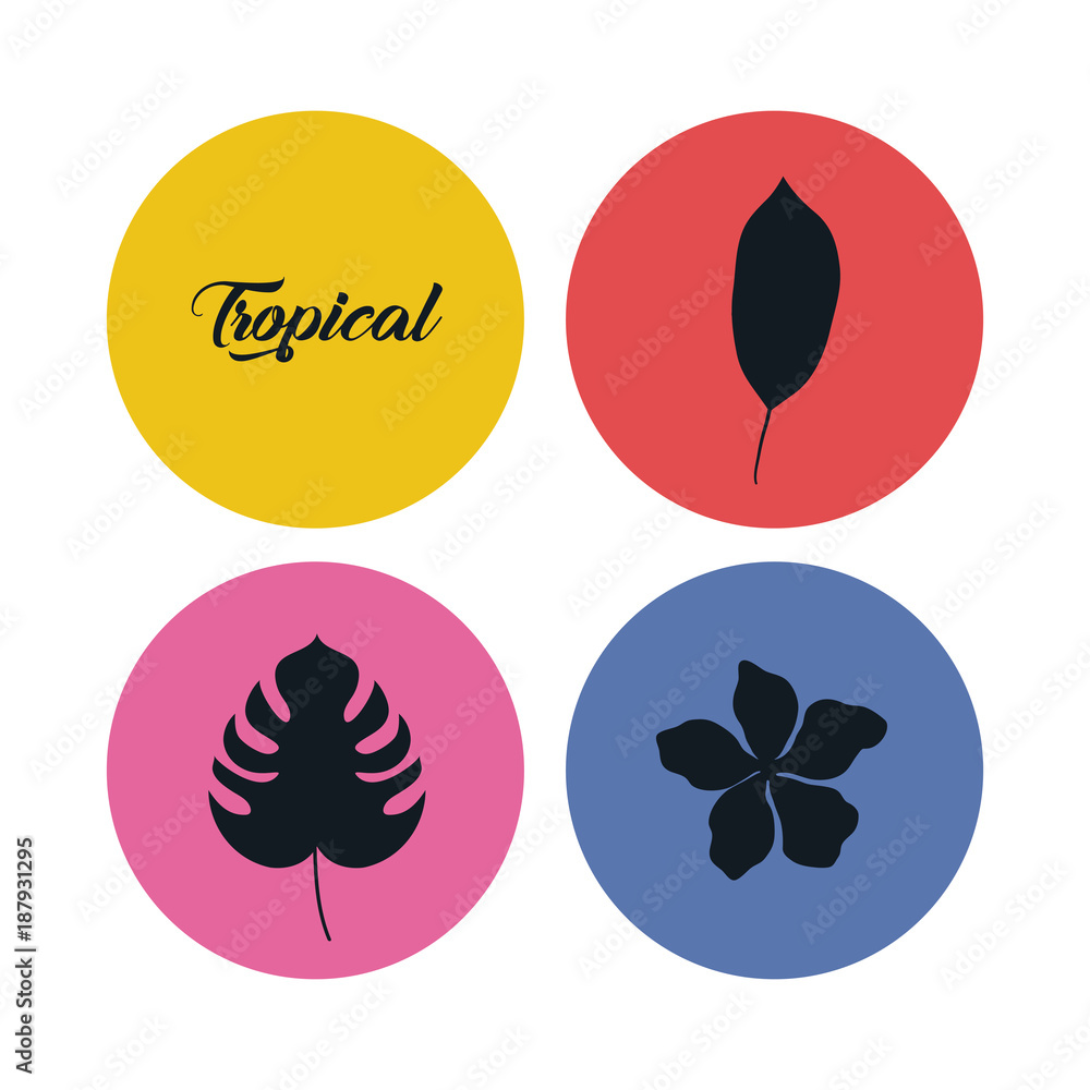 set of summer and trendy tropical leaves set of summer and trendy tropical leaves