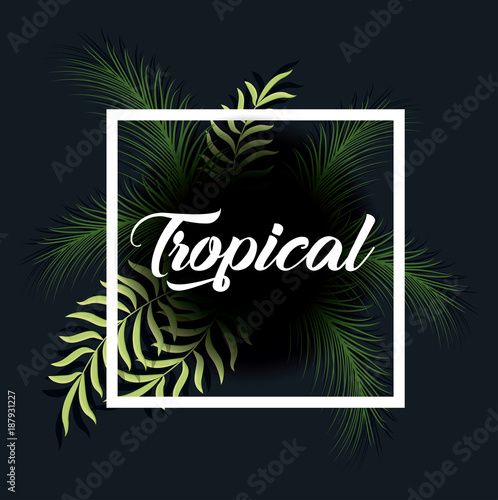 trendy summer tropical leaves banner 