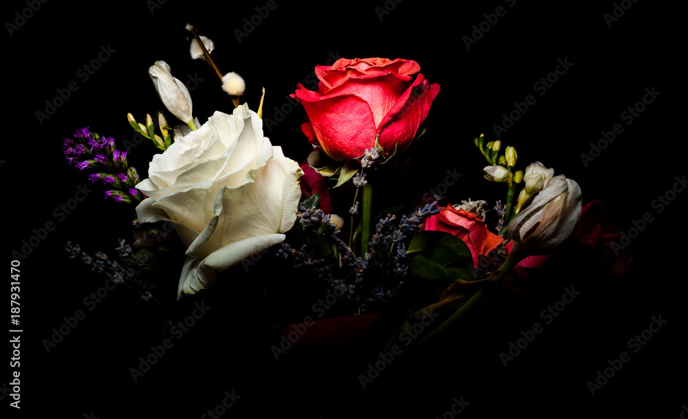 Obraz premium Flowers with black background