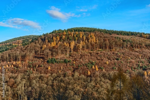 Bewaldete Hügel in Herbstfarben