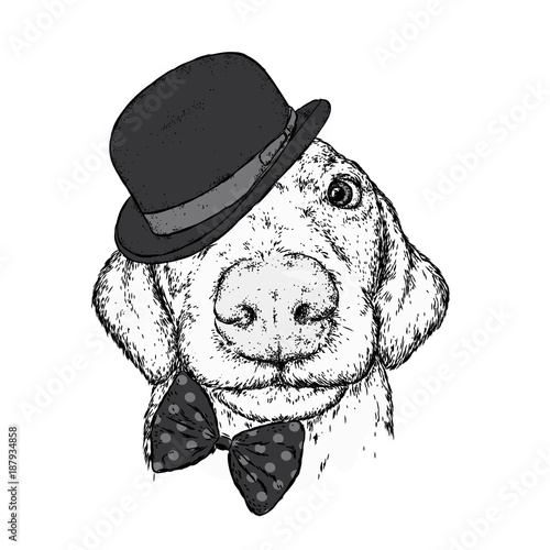 Puppy in a hat, glasses and a tie. Patrick's day. Vector illustration for a postcard or a poster, print for clothes. A pedigree dog in clothes and accessories.