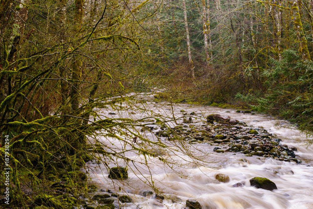 Cumberland Creek, Skagit County, Washington, 2017 Cumberland Creek, Skagit County, Washington, 2017