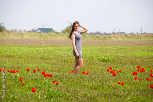 Beautiful fairy young girl in a field among the flowers of tulips. Portrait of a girl on a background of red flowers and a green field. Field of tulips. © eleonimages