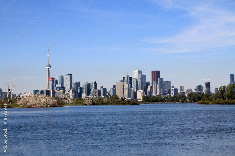 View on Toronto downtown