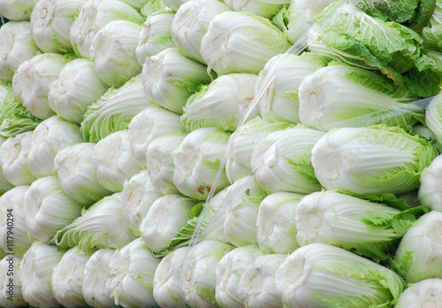 Stacking Chinese cabbage in pile in harvest season