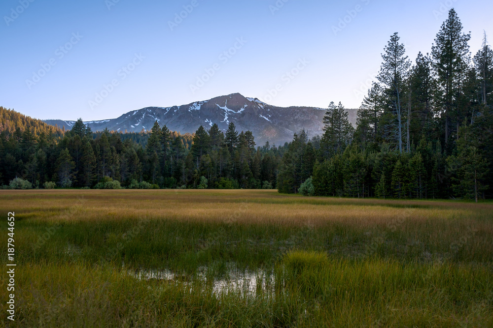 Lake Tahoe Meadow