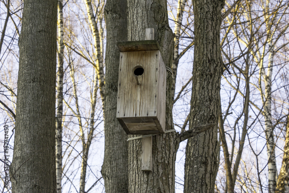 An empty wooden birdhouse in a winter park. Frost and trees without foliage. Interesting photo for the site about animals and ecology.