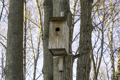 An empty wooden birdhouse in a winter park. Frost and trees without foliage. Interesting photo for the site about animals and ecology.