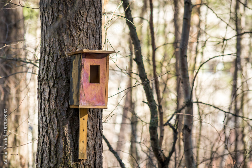 Beautiful wooden bird feeder in Park Beautiful wooden bird feeder in Park