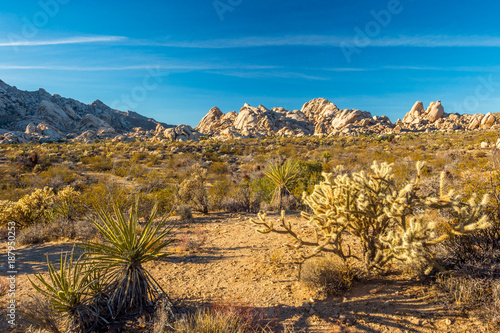 Mojave Desert © mightypix