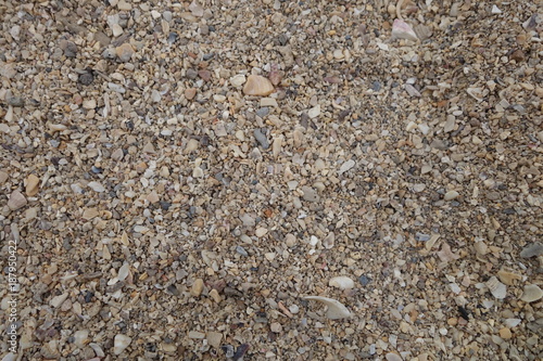砂浜の砂(台湾、野柳地質公園)