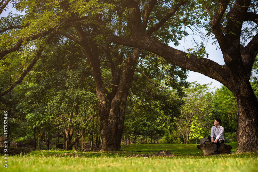 man relaxing in nature park. man relaxing in nature park.