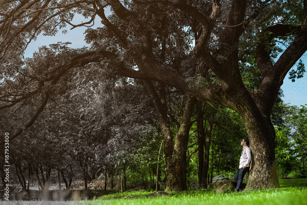 Global Warming and Pollution Concept man relaxing in nature park. Global Warming and Pollution Concept man relaxing in nature park.