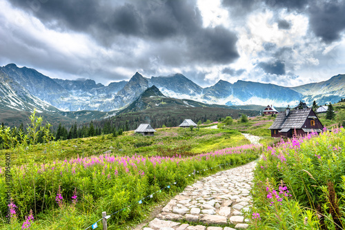Hiking trail in mountains, landscape of houses in mountain valley with flowers in summer grass field, Hala Gasienicowa, popular tourist attraction in Tatra National Park, Poland