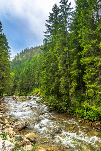 Mountain stream or river in mountains, landscape