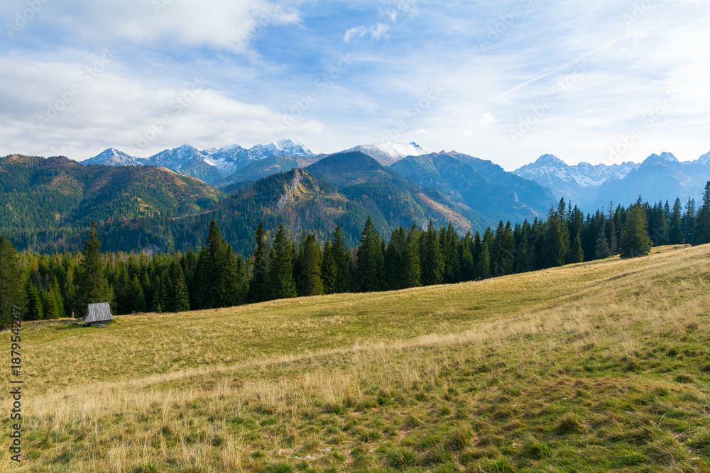 view on Tatra mountains from glade Rusinowa Polana, Poland