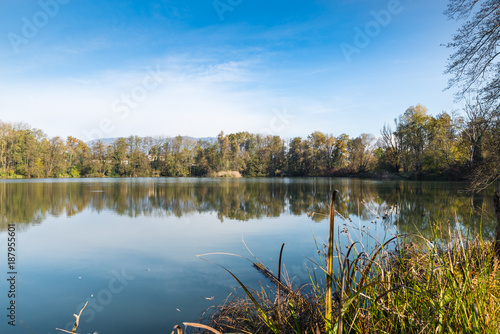 Fototapeta Naklejka Na Ścianę i Meble -  Small lake called pond or quarry of the Furnaces at the nature reserve Brabbia marsh. The Brabbia marsh is recognized as a wetland of international importance from 1984, province of Varese, Italy