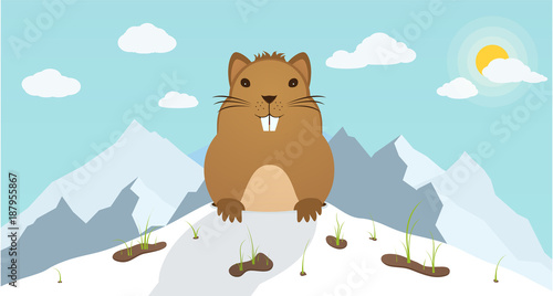 Groundhog Day. Marmot climbed out of hole on background mountains. Beginning of the festive festival.