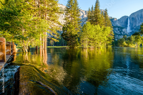 Fototapeta Naklejka Na Ścianę i Meble -  Merced River and Yosemite Falls landscape