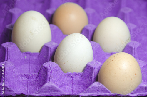 eggs packed in violet ultraviolet and lilac color card of the year