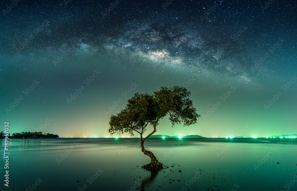 Naklejka premium Krajobraz z galaktyką Drogi Mlecznej. Nocne niebo z gwiazdami i sylwetka drzewa mangrowe w morzu. Fotografia o długiej ekspozycji.