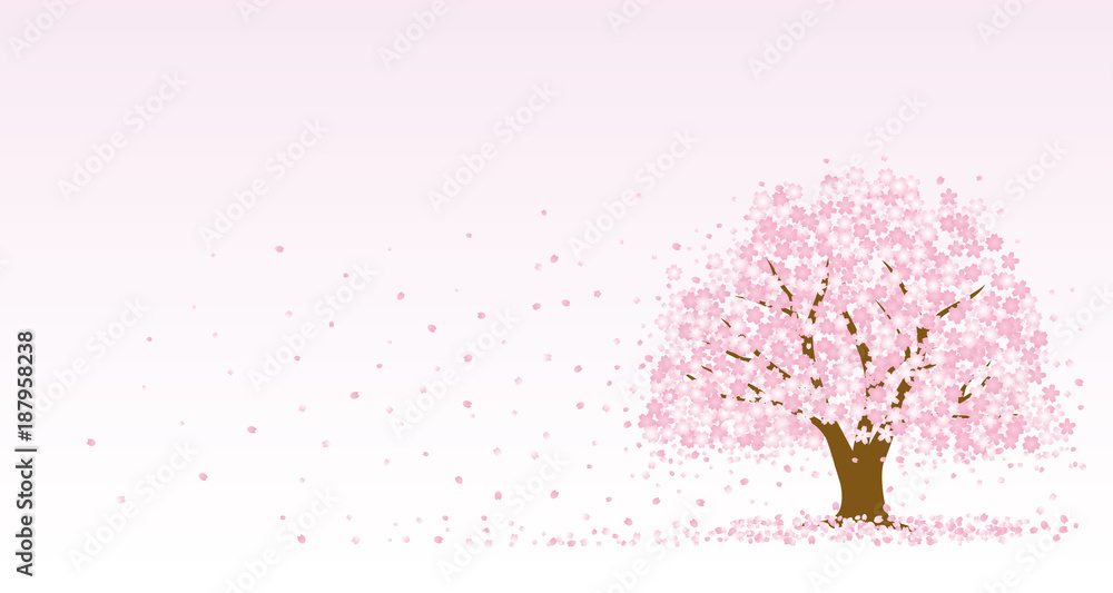 Fototapeta premium 桜の木