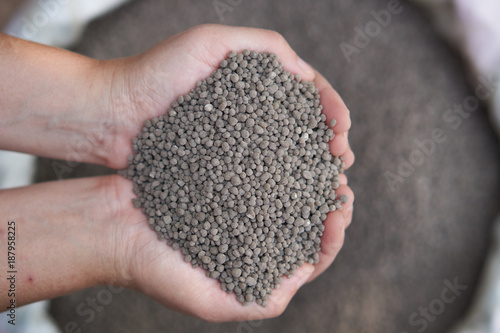 18-46-0 , Diammonium phosphate (DAP) fertilizers in farmer hand .