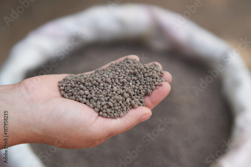 18-46-0 , Diammonium phosphate (DAP) fertilizers in farmer hand .