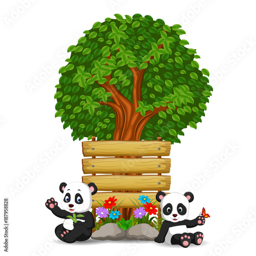 Fototapeta Naklejka Na Ścianę i Meble -  two pandas in front of an empty wooden signboard