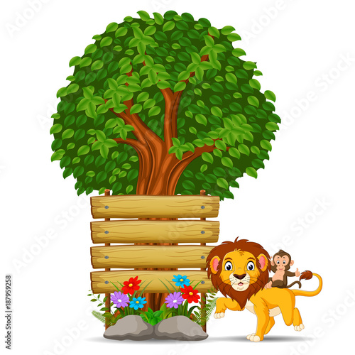 Fototapeta Naklejka Na Ścianę i Meble -  lion in front of an empty wooden signboard