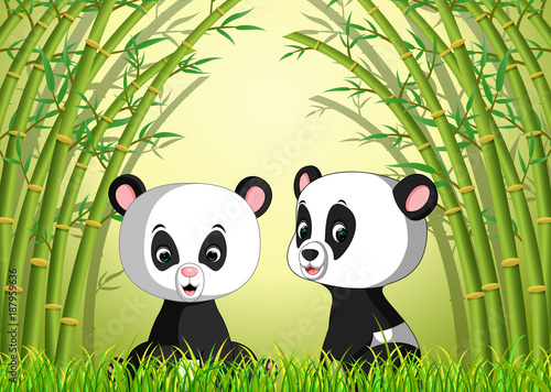 Fototapeta Naklejka Na Ścianę i Meble -  two cute panda in a bamboo forest 