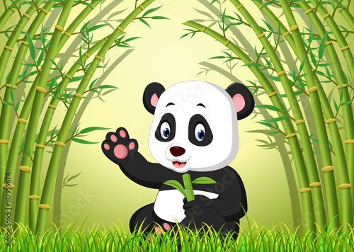 Fototapeta Naklejka Na Ścianę i Meble -  two cute panda in a bamboo forest 