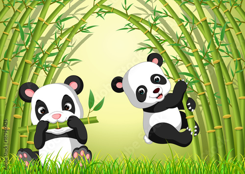 Fototapeta Naklejka Na Ścianę i Meble -  two cute panda in a bamboo forest 