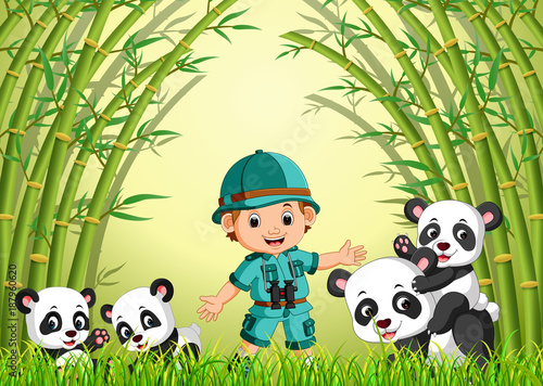 Fototapeta Naklejka Na Ścianę i Meble -  two cute panda in a bamboo forest 