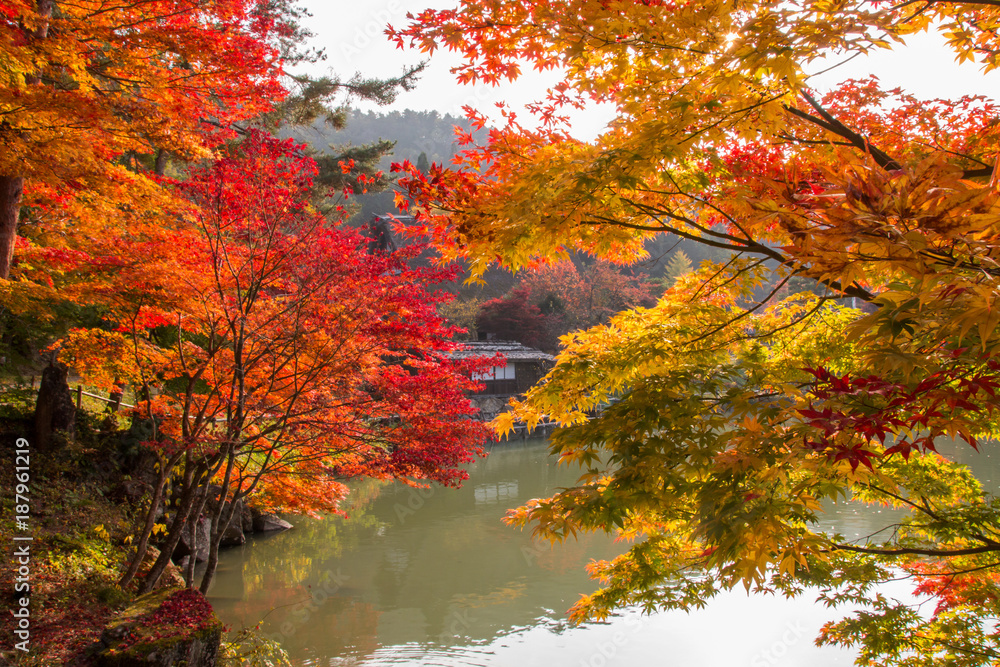 Bright autumn colors on a warm evening