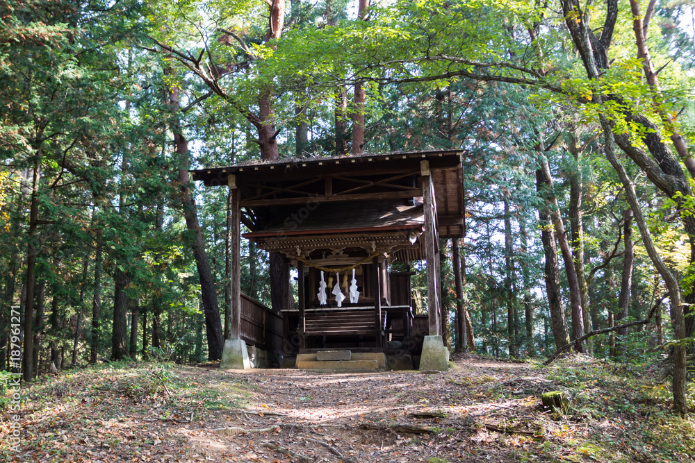 Little shrine in the Japanse woods around Takayama Little shrine in the Japanse woods around Takayama