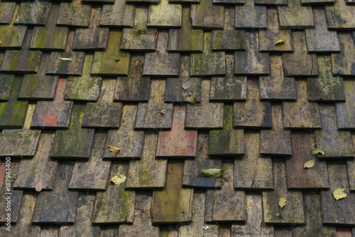 Wood roof  covered with moss.