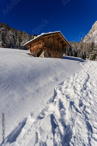 paesaggio invernale a Piereni, in Val Canali, nel parco naturale di Paneveggio - Trentino photo