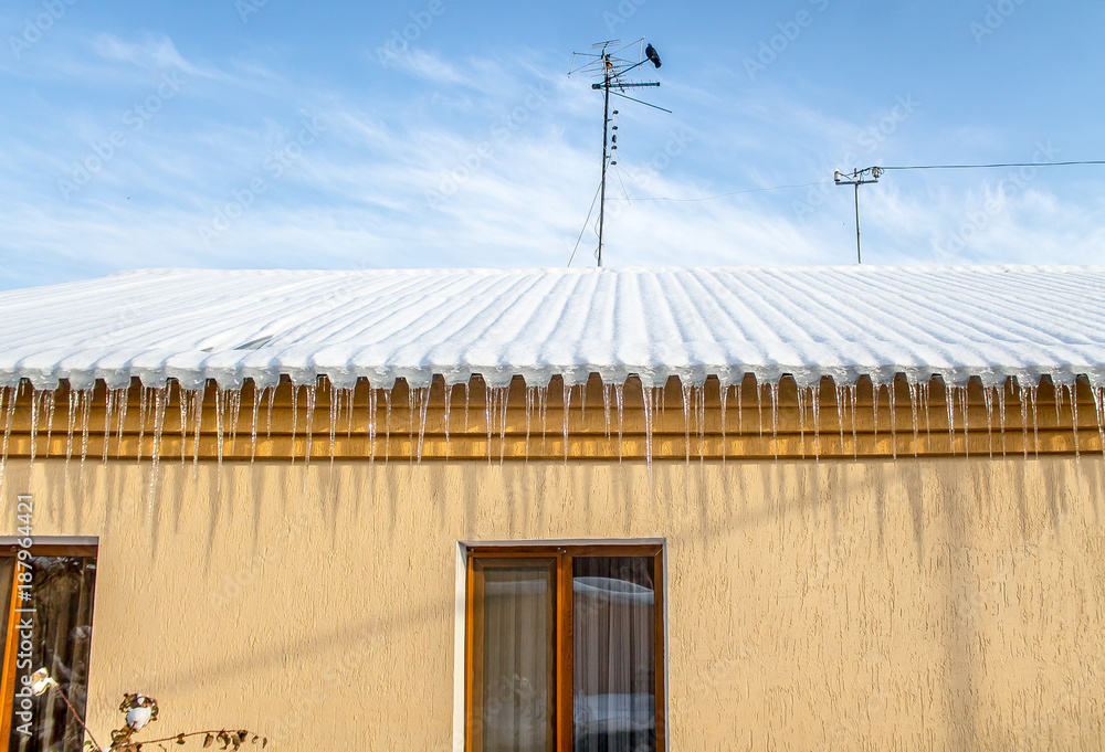 Fototapeta premium Icicles in winter