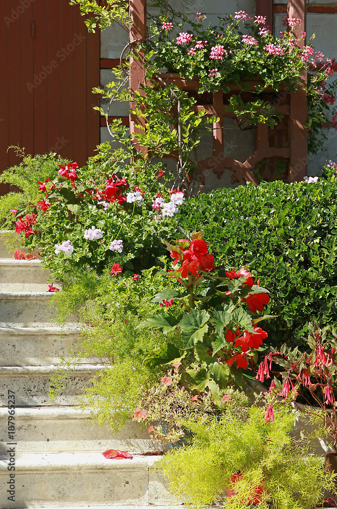 Naklejka premium Escalier fleuri d'une maison