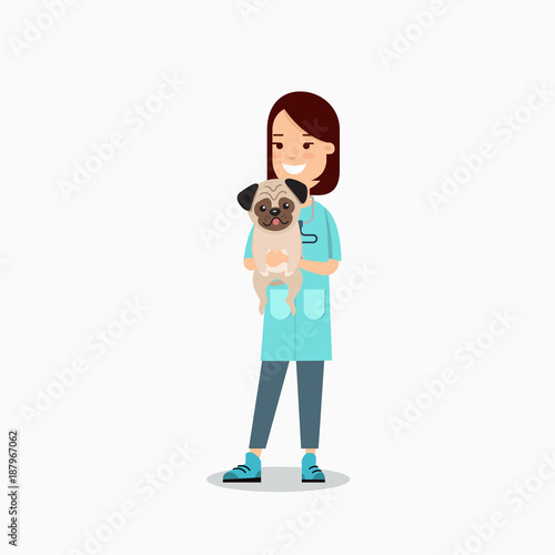 Flat veterinarian female doctor caring pet pug dog veterinary clinic