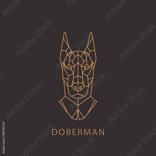 Doberman dog in geometric modern style. Vector illustration.